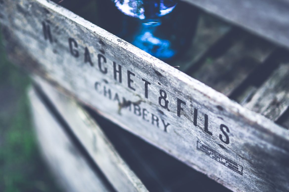 Koncentrat barszczu czerwonego