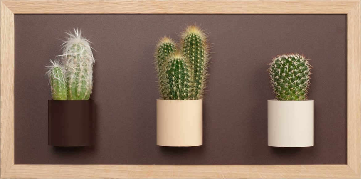 Z jakiego materiału produkowana jest nowoczesna doniczka?